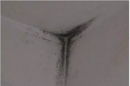 室內結露發(fā)霉